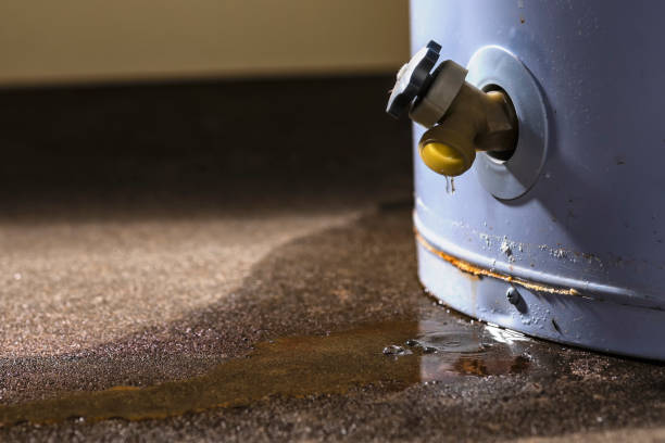 Best Residential water damage restoration  in Morenci, AZ