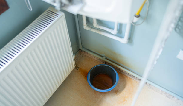 Best Carpet water damage restoration  in Morenci, AZ