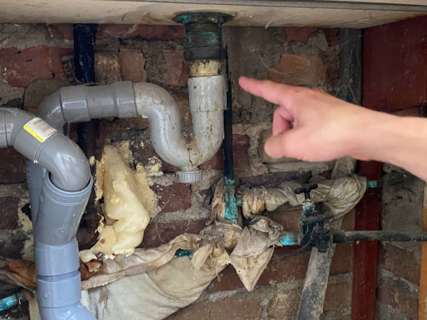 Best Ceiling water damage repair  in Morenci, AZ