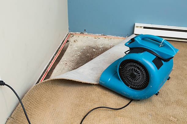 Best Flood restoration services  in Morenci, AZ